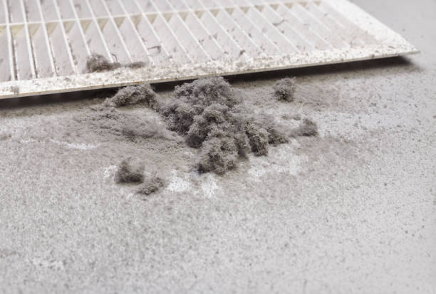 Best Professional Duct Cleaning Services  in Gray, LA