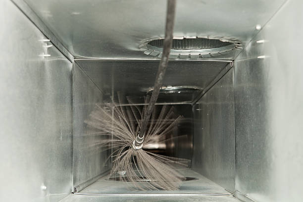 Best Professional Duct Cleaning Services  in Gray, LA