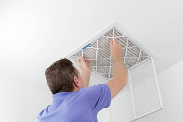 Best Local Air Duct Cleaning Services  in Gray, LA